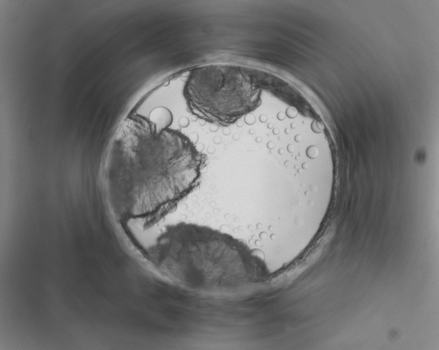 X0000116460957201001201257