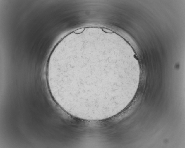 X0000116460958201001201257
