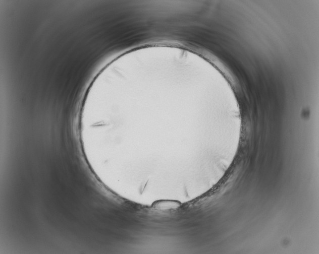 X0000116460959201001201257