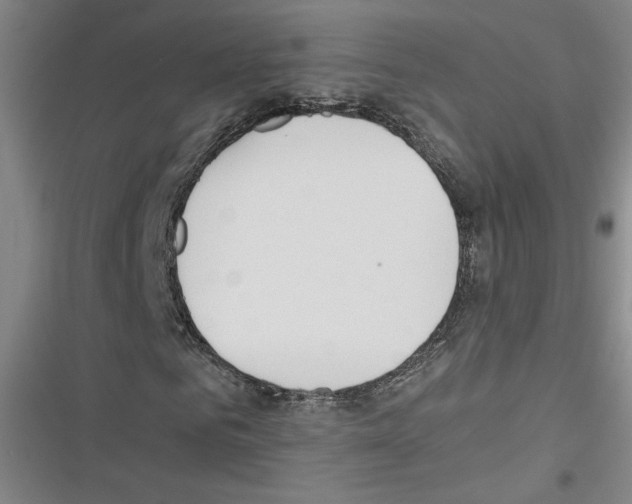 X0000116460961201001201257