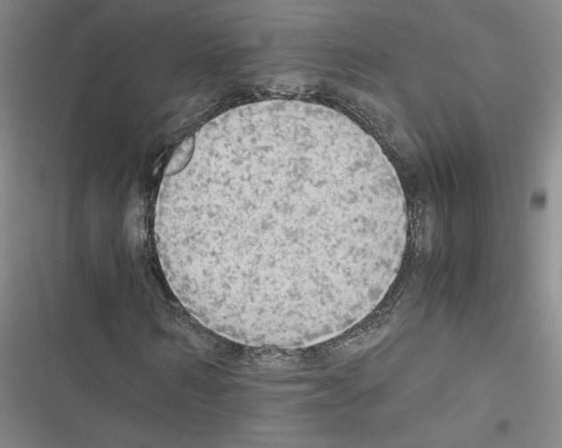X0000116460962201001201257