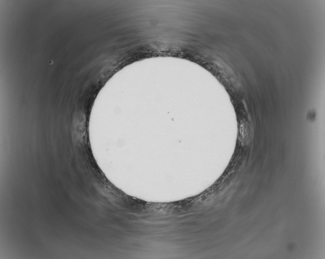 X0000116460963201001201257