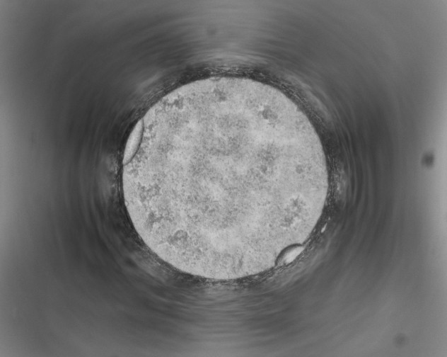 X0000116460964201001201257