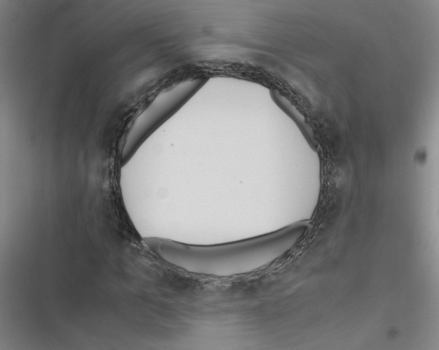 X0000116460965201001201257