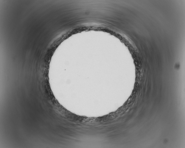 X0000116460967201001201257