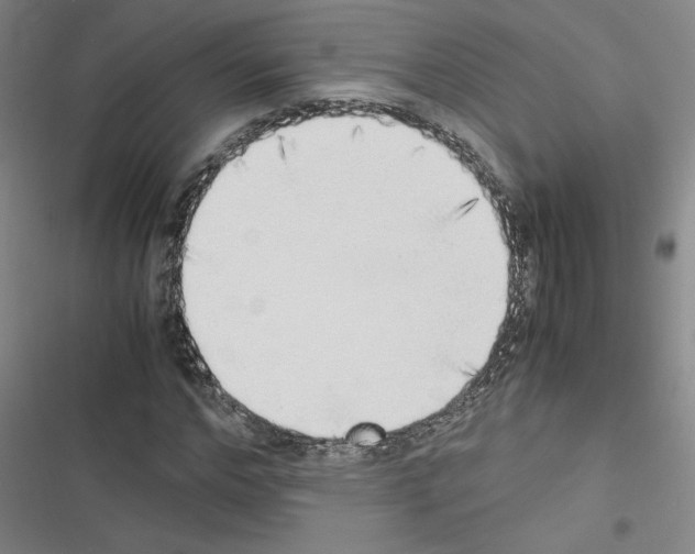 X0000116460968201001201257