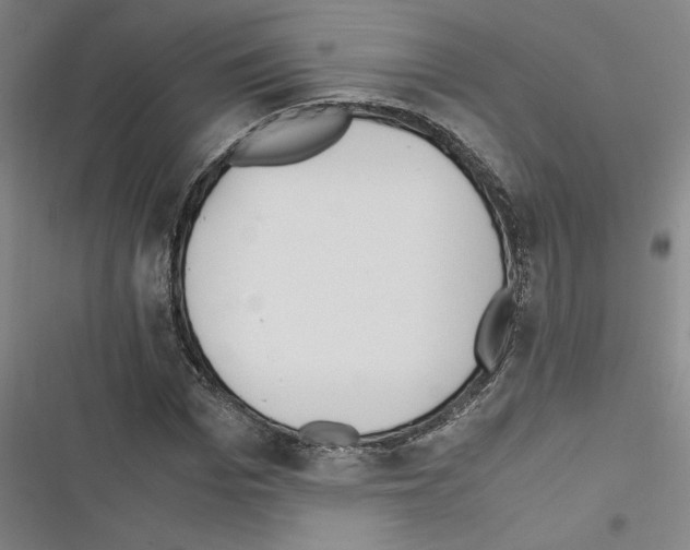 X0000116460969201001201257