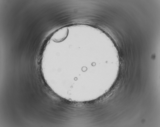 X0000116460971201001201257