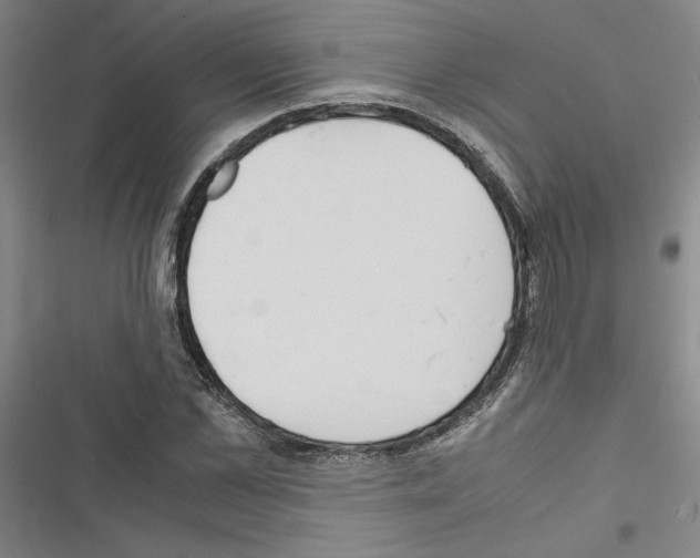 X0000116460973201001201257
