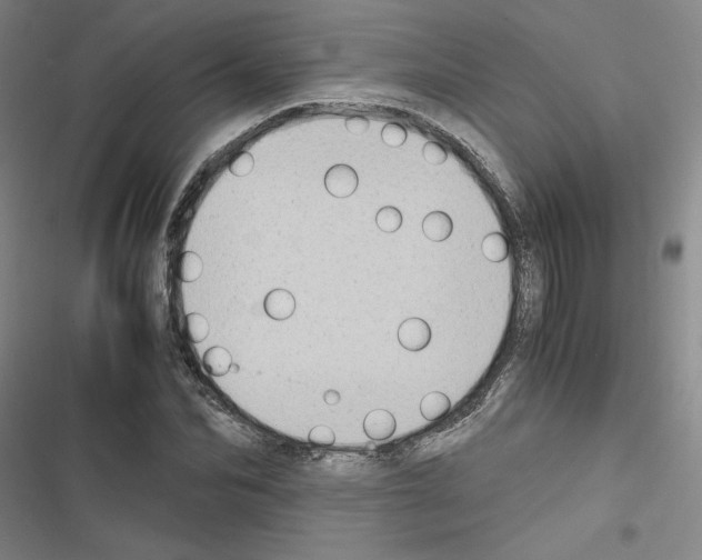 X0000116460974201001201257