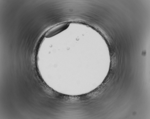 X0000116460975201001201257