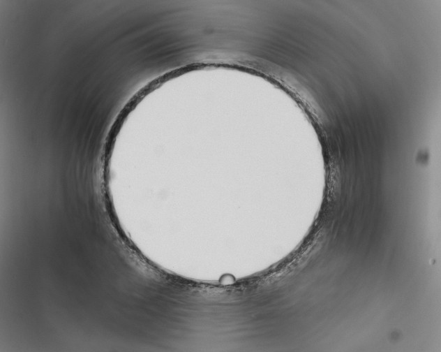X0000116460976201001201257