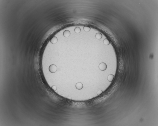 X0000116460978201001201256