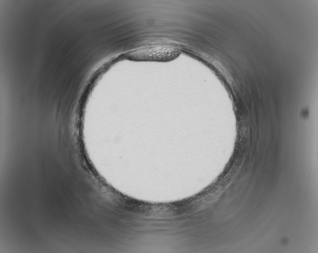 X0000116460979201001201256