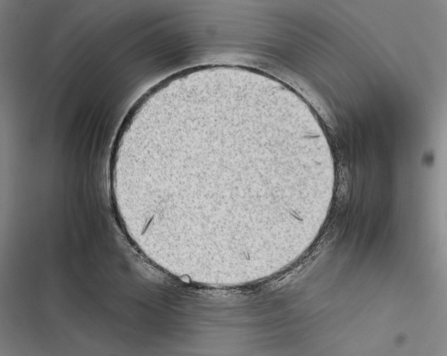 X0000116460980201001201256