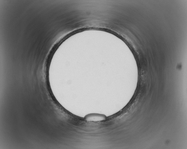 X0000116460981201001201256
