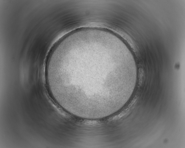 X0000116460982201001201256