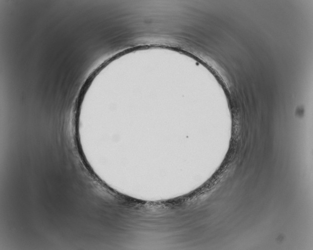 X0000116460983201001201256