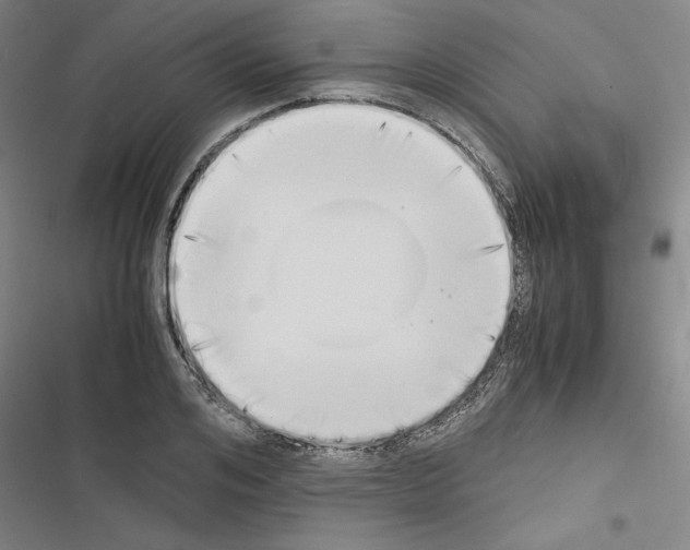 X0000116460984201001201256