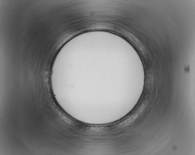 X0000116460985201001201256