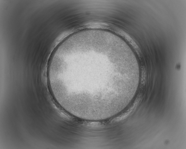 X0000116460986201001201256