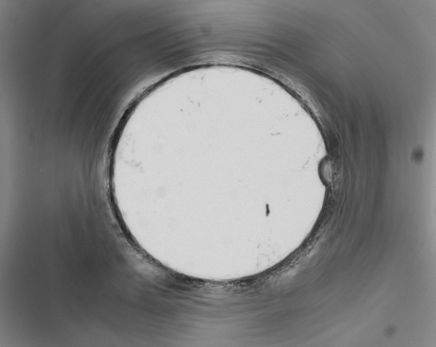 X0000116460987201001201256