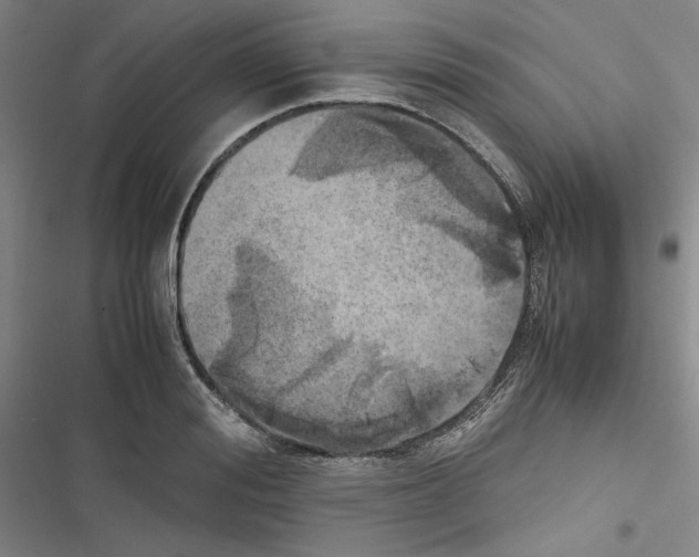 X0000116460988201001201256