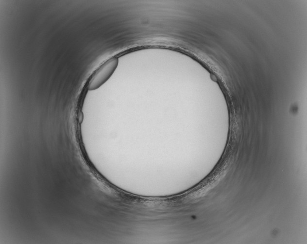 X0000116460989201001201256