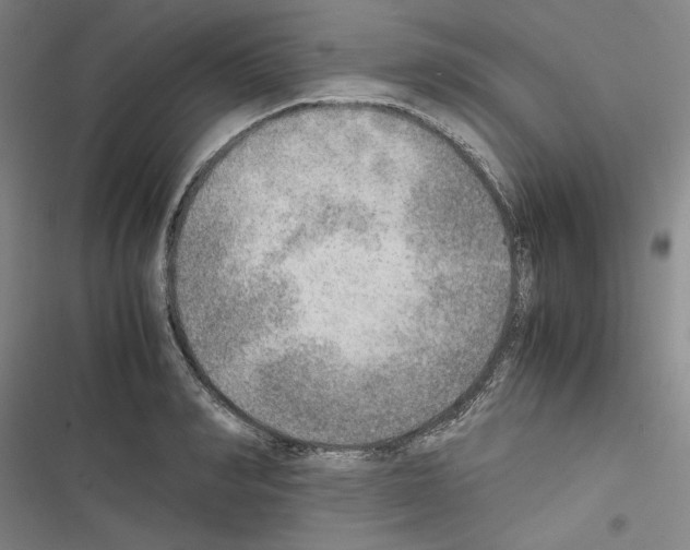 X0000116460990201001201256