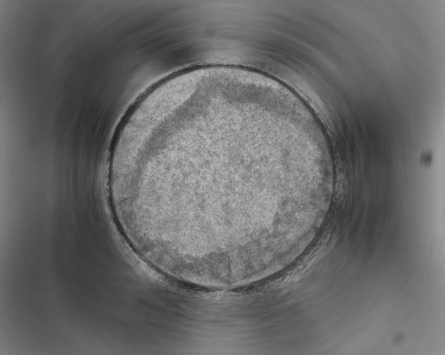 X0000116460992201001201256