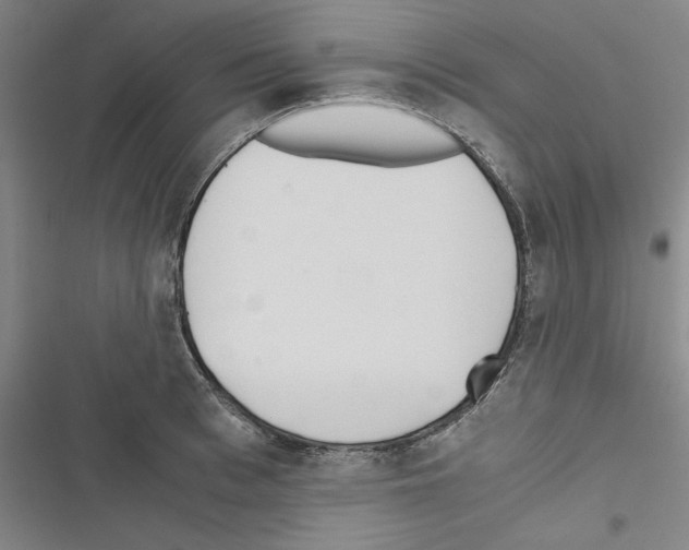 X0000116460993201001201256