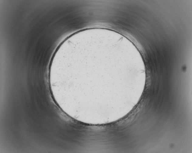 X0000116460996201001201256