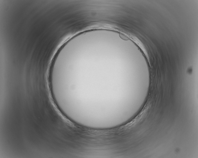 X0000116460997201001201256