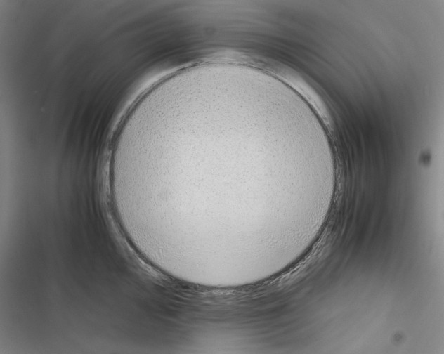 X0000116461000201001201256