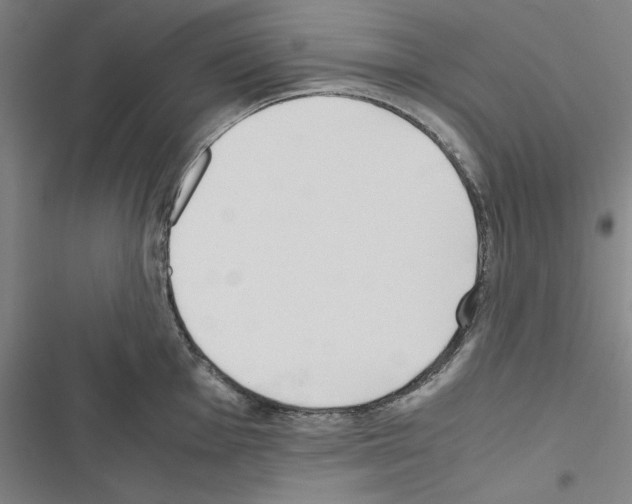 X0000116461001201001201256