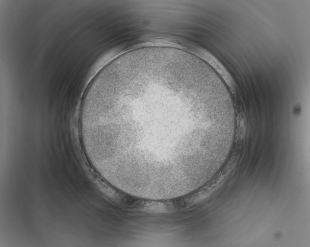 X0000116461002201001201256