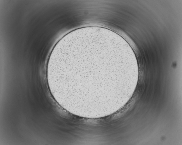 X0000116461004201001201256