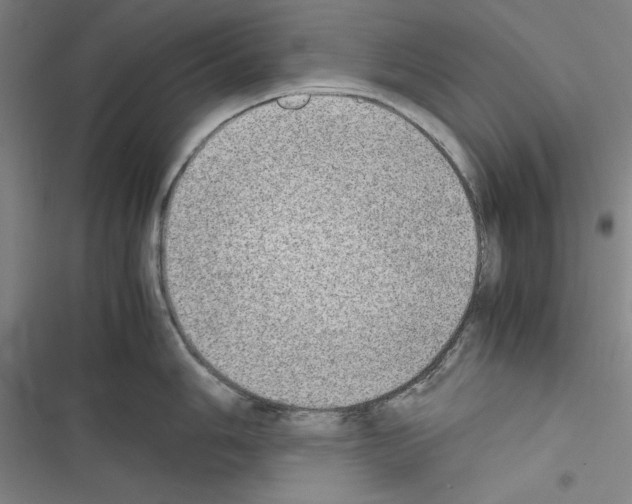 X0000116461006201001201256