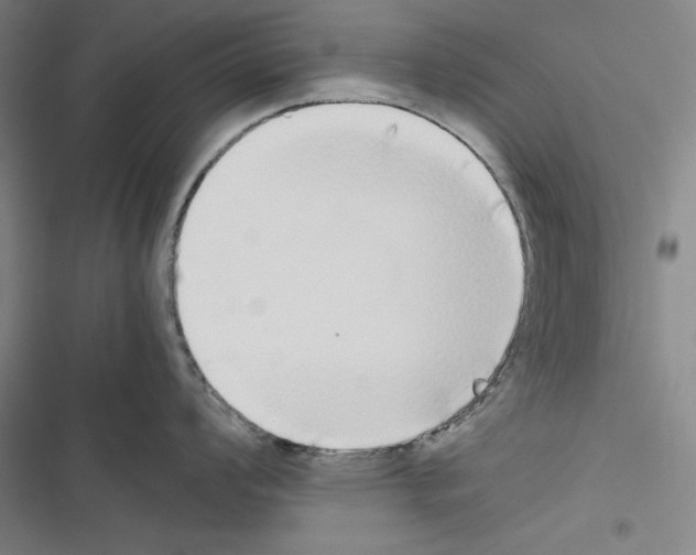 X0000116461008201001201256