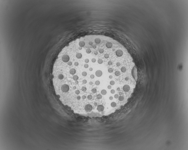 X0000116461009201001201255