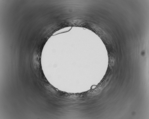 X0000116461010201001201255