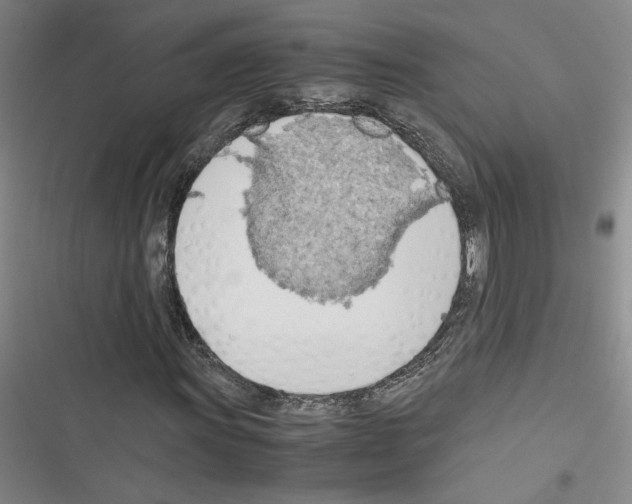 X0000116461011201001201255