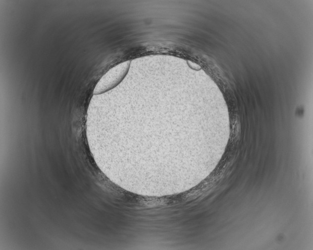 X0000116461012201001201255