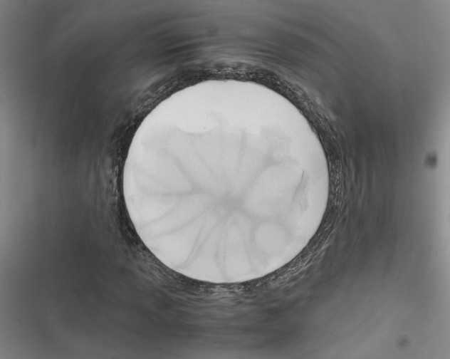 X0000116461013201001201255