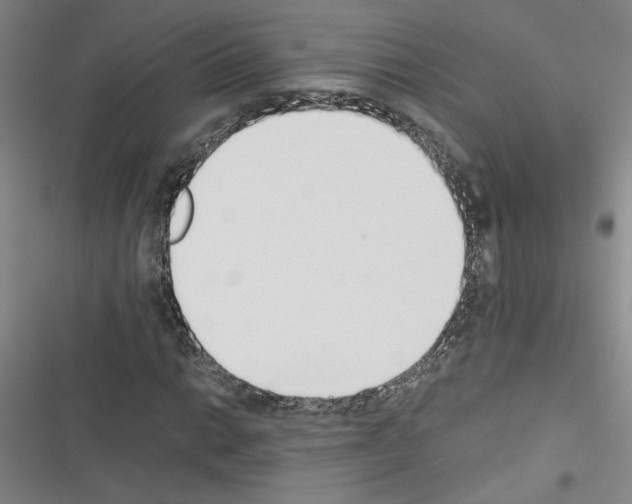 X0000116461014201001201256