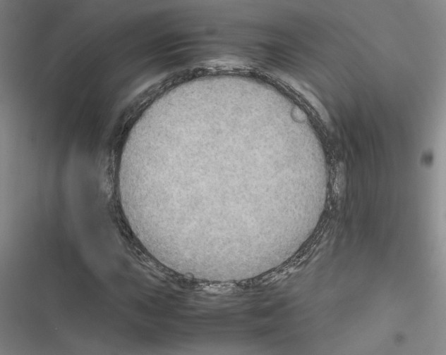 X0000116461015201001201256