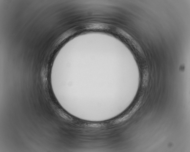 X0000116461017201001201256