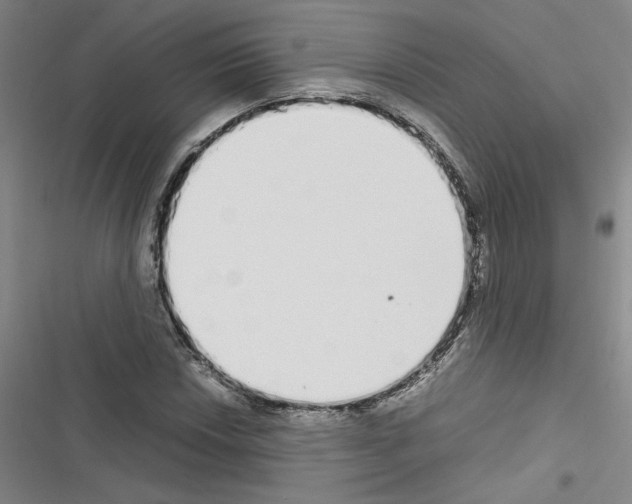 X0000116461018201001201256
