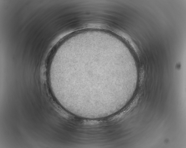 X0000116461019201001201256