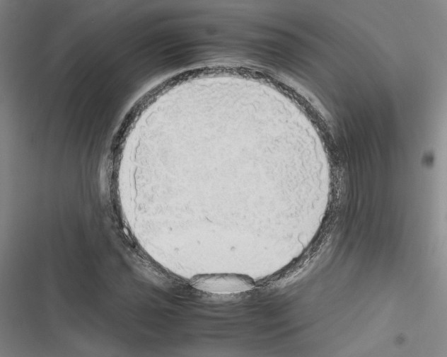 X0000116461021201001201256